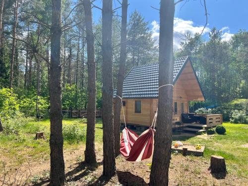 Vonkajšia záhrada v ubytovaní Domek z balią w lesie na Mazurach