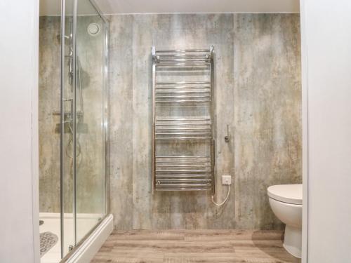 a bathroom with a shower and a toilet at The LinneyThe West Dry in St Austell