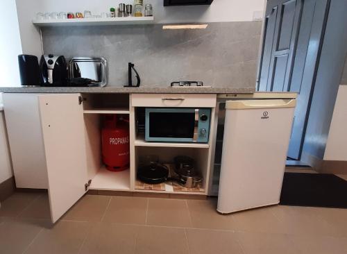 a small kitchen with a counter with a microwave at Ausros 19 flat in Utena