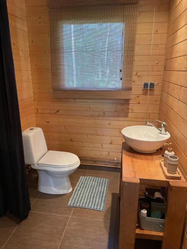 a bathroom with a toilet and a sink at Dagö Berry suvemaja in Hiiumaa