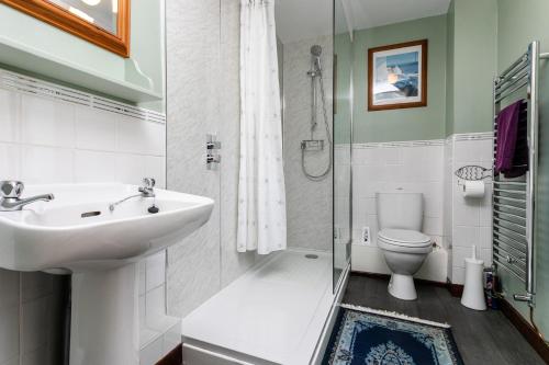 uma casa de banho com um lavatório, um WC e um chuveiro em Swallows Cottage nr Warkworth em Acklington