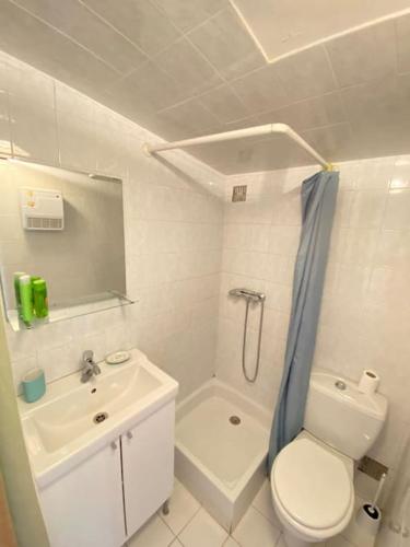 une salle de bain avec toilettes, lavabo et douche dans l'établissement Maisonnette à la campagne. Idéal Télétravail, à Éguilles