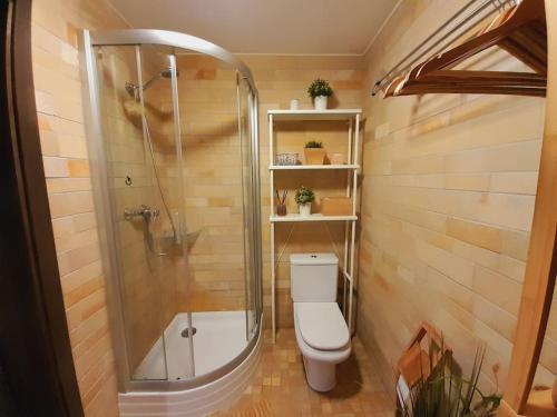 a bathroom with a shower and a white toilet at Reload Apartment in Miskolc