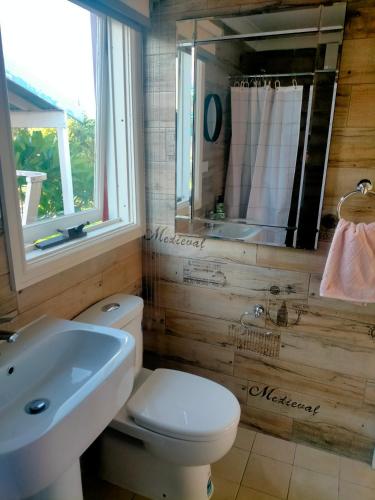 a bathroom with a white toilet and a sink at Avonlea Cottages in York