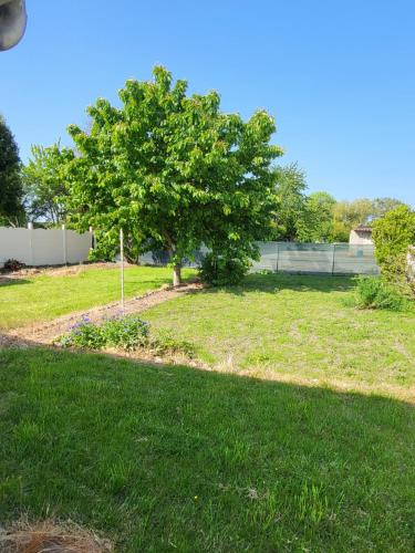 un arbre au milieu d'une prairie dans l'établissement GITE 4-6 Personnes proche gare TGV Haute Picardie, à Dompierre-Becquincourt
