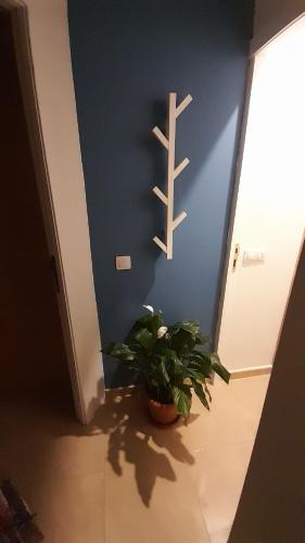 a plant in a hallway with a blue wall at Los Abrigos 2 apartments Guest House Ocean relax, wifi, playas in Los Abrigos