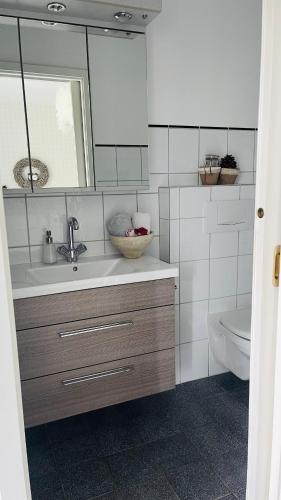 a bathroom with a sink and a toilet at Das Ruebezahl in Reit im Winkl