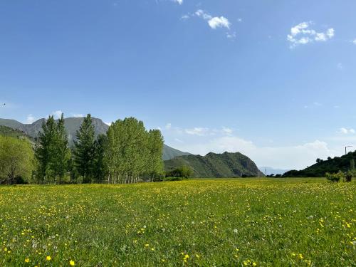 Paisaje cerca de esta villa