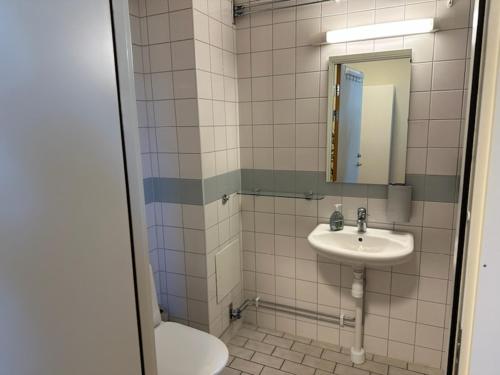 a bathroom with a sink and a toilet at Söderåsen Resort in Ljungbyhed