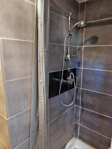 une douche avec pommeau de douche dans une salle de bain dans l'établissement Détente et sport 3 - Chartreuse et Lacs - Appartement entier, à Saint-Béron