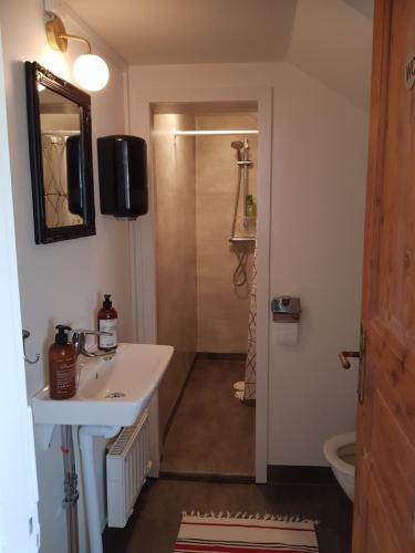 ein Badezimmer mit einem weißen Waschbecken und einer Dusche in der Unterkunft Vare 4 in TrÃ¤slÃ¶vslÃ¤ge