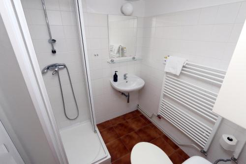 y baño con ducha, aseo y lavamanos. en Penzion Mauritz, en Nová Pec