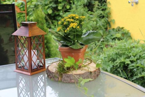 a table with a lantern and a potted plant on it at Ferienwohnung NatuRaum in Gräfenberg