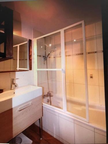 une salle de bain avec douche et lavabo dans l'établissement Appartement cosy - grande terrasse pleine vue lac, à Gérardmer