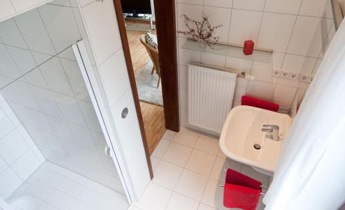ein kleines Bad mit einem Waschbecken und einem WC in der Unterkunft Idyll am Weinberg in Rhodt unter Rietburg