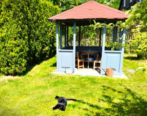 ein schwarzer Hund im Gras neben einem Pavillon in der Unterkunft Penzion U kozy in Chřibská