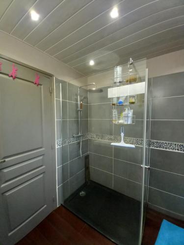 a bathroom with a shower with a glass door at Maison de vacances à la plage in Saint-Nic