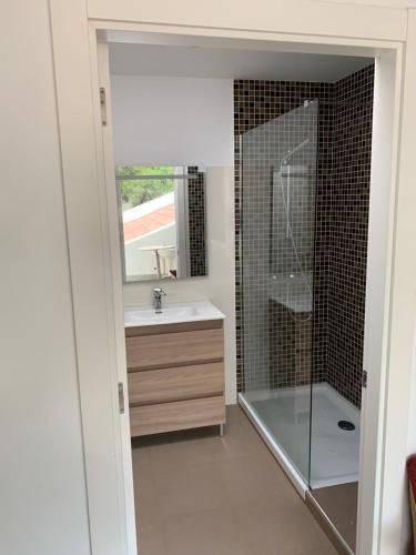 a bathroom with a shower and a sink and a mirror at BASOANGYM Villa con jardin y bosque centenario in Laukiz