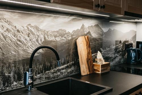 a kitchen sink with a mountain mural on the wall at Apartamenty Górajski Spa in Kościelisko