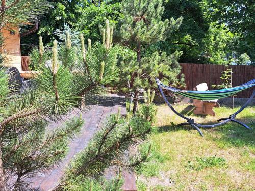a hammock in a garden with trees and a fence at Siedlisko nad Jeziorem-Mazury in Mrągowo