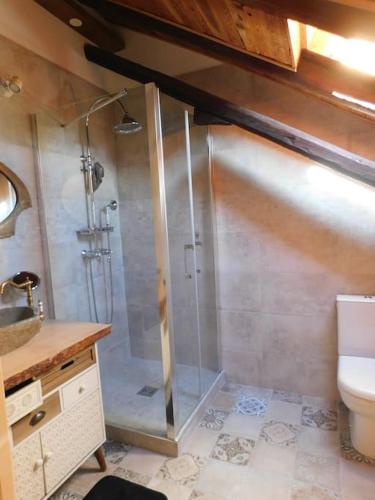 une salle de bain avec douche et toilettes dans l'établissement Chaleureuse Maison de pays Serre Chevalier4étoiles, au Monêtier-les-Bains