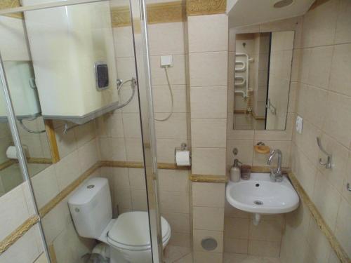 ein Bad mit einem WC und einem Waschbecken in der Unterkunft Krowoderska 63A in Krakau