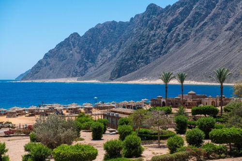 a resort on the shore of a body of water at Happy Life Village Dahab in Dahab