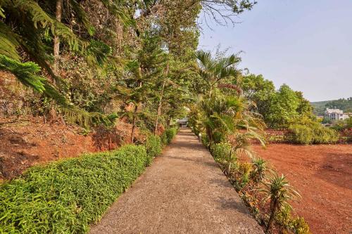 a dirt path with palm trees on a hill at StayVista's Amoda Villa - Near Venna Lake, Amidst Farmland with Jacuzzi and Indoor Activities in Mahabaleshwar