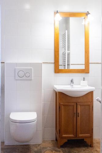 a bathroom with a toilet and a sink and a mirror at Legaire Etxea in Ibarguren