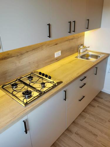 Kuchyň nebo kuchyňský kout v ubytování Vasaros estrados apartamentai, self check-in, free parking