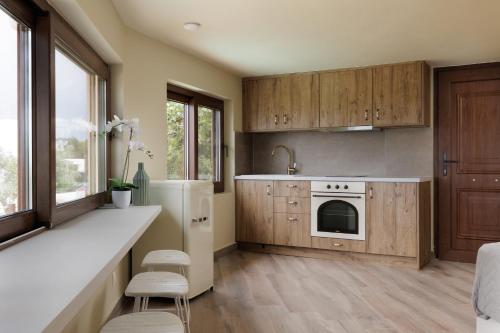 Kuchyň nebo kuchyňský kout v ubytování Dendrilia Villa & Suite By Rodostamo Collection