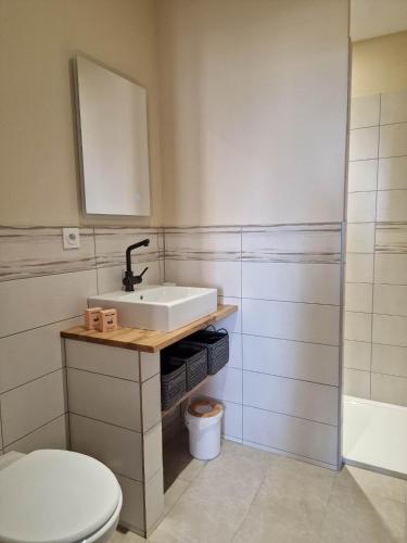 y baño con lavabo, aseo y espejo. en Appartement au coeur de Vezelay - GALERIE 10, en Vézelay