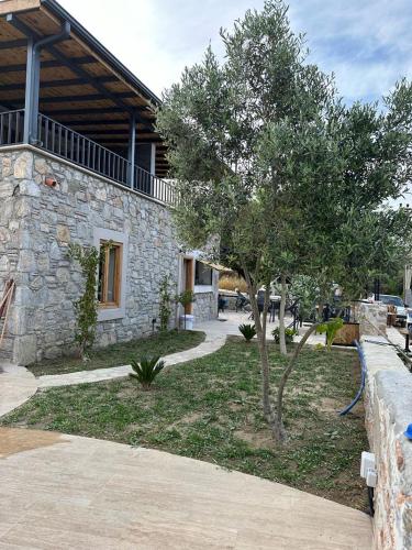 a tree in front of a stone building at 7011 Dadya Rooms in Datca