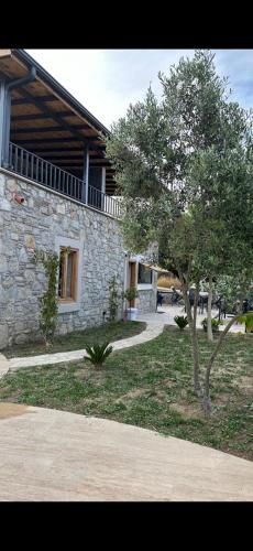 a tree in front of a stone building at 7011 Dadya Rooms in Datca