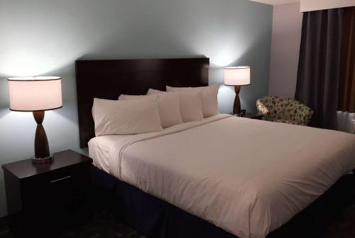 Кровать или кровати в номере Travelodge by Wyndham Rosetown