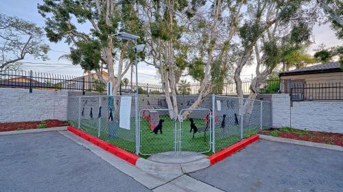 a fence with four black dogs inside of it at Suites Los Angeles CA Los Angeles LAX in Inglewood