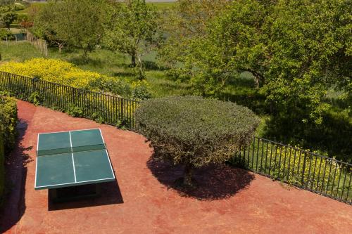 a bench next to a small tree next to a fence at Legaire Etxea in Ibarguren