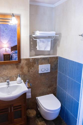 a bathroom with a sink and a toilet and a mirror at Legaire Etxea in Ibarguren
