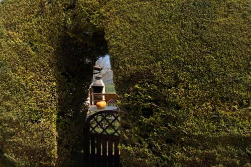 a black gate through a hedge with a light in the background at Legaire Etxea in Ibarguren