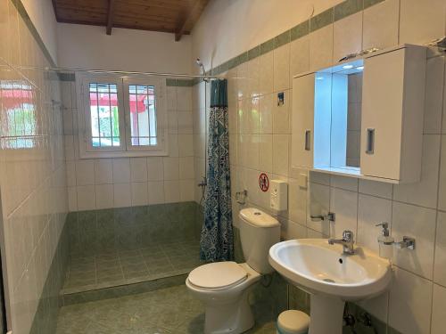 La salle de bains est pourvue de toilettes et d'un lavabo. dans l'établissement Koala Place, à Vasiliki