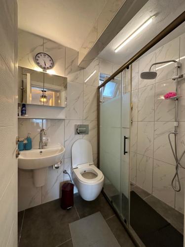 ein Bad mit einem WC, einem Waschbecken und einer Dusche in der Unterkunft Modernized Family Villa in Beach Site in Manavgat