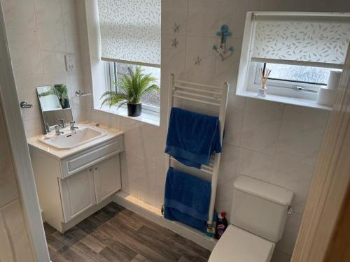 La salle de bains est pourvue d'un lavabo, de toilettes et d'une fenêtre. dans l'établissement Dot's Escape - 2 bed bungalow., à Kent