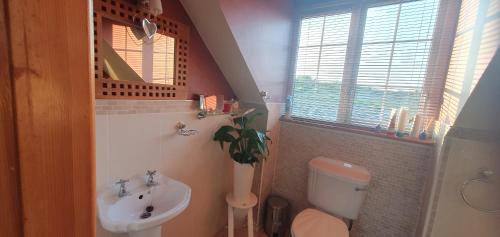 a bathroom with a sink and a toilet and a mirror at Forest View Dunmore Galway H54P897 in Dunmore