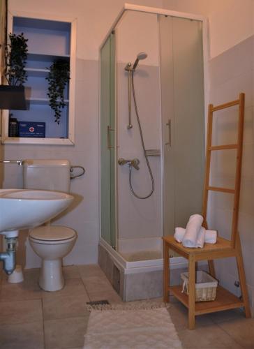 a bathroom with a shower and a toilet and a sink at Jungle & Sea Boxavia in Božava