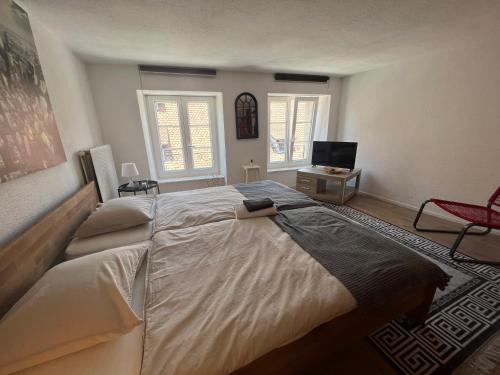 een slaapkamer met een groot bed in een kamer met ramen bij Appartement en vieille ville de Porrentruy in Porrentruy