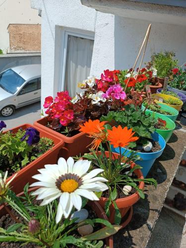 Jardí fora de Apartman Ohren