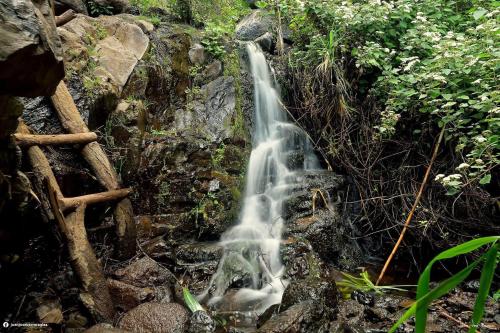 Billede fra billedgalleriet på Apartamentos Villa Aurora i Valle Gran Rey