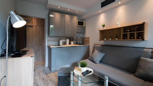 een woonkamer met een bank en een keuken bij Barbara Ustroń, Sun & Snow in Ustroń