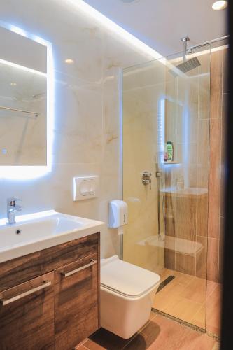 a bathroom with a shower and a toilet and a sink at Fori's rooms in Himare