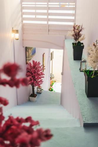 a stairway with potted plants and flowers at Fori's rooms in Himare